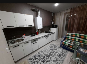 Квартира Мичуринская 213г