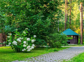 Гостевой дом Кедровый Остров (Чемал)