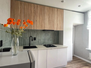 Апартаменты Новая Квартира Ромашка