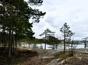 Глэмпинг Lago Ladoga