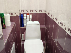 Апартаменты трехкомнатные  у Елены