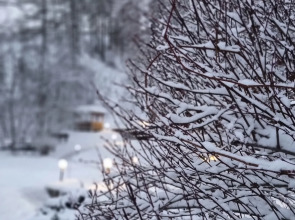 Гостевой Дом Каменный Цветок