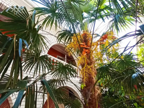 Гостевой Дом Факел 2