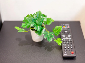 Апартаменты RentPlaza на просеке