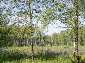 База отдыха Berloga Country Resort