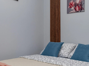 Апартаменты (314) Жуковского 1/2/10 с2