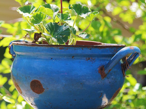 Апартаменты на Мельнице