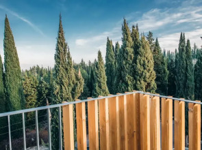 Отель Park Hotel Tsinandali Estate