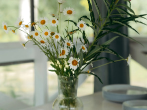 Эко Апартаменты на берегу красивого озера