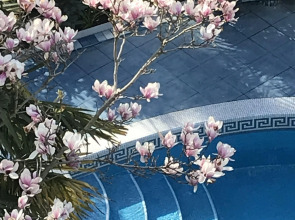 Гостевой дом Вилла Престиж