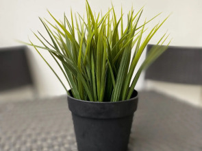 Апартаменты Капри Хаус-Мадрид Парк-2 (4)