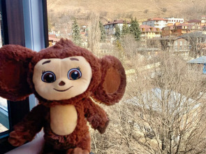 Квартира 300 метров Кисловодский парк