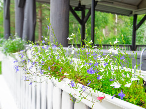 Отель ГК Ареда 1 - Mountain