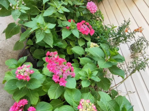 Гостевой дом Морская сказка