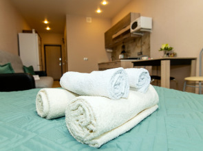 Квартира-студия  в Старой Купавне