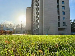 Апартаменты студия 719