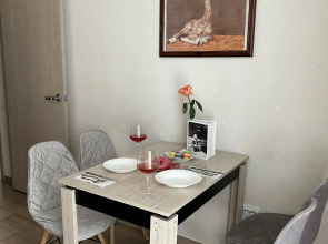 Апартаменты на проспекте Московском 209