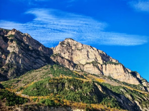 Квартира комфортная в самом центре города с приятным окружающим видом