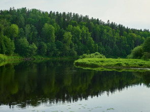 Бунгало Мазаная Горка