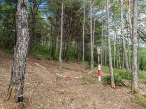 Гостевой дом Над Ялтой