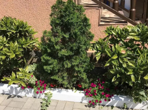 Гостевой дом Пекан