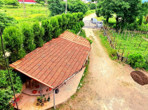 Апарт-отель Mtrediani Wine Lodge