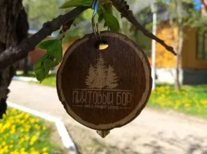Парк-отель Пихтовый Бор