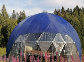 Глэмпинг Папоротник