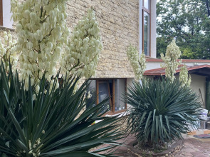 Отель Рахиль