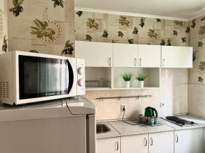 Апартаменты Квартира на Пушкина 124/2