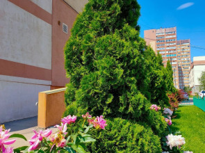 Апартаменты Mango Fresh