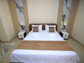 Отель AMIR PLAZA