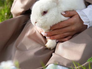 Дом Уютный в стиле Прованс