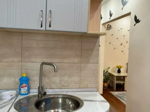 Апартаменты 1-комнатные с видом на Волгу (Бухта)