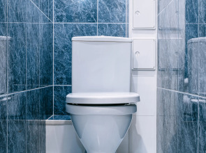 Апартаменты Комфорт с Видом на Парк в Сосновом Лесу от Квартирукинг