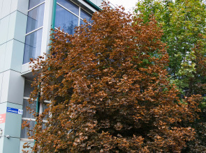 Гостиница Lucky-House