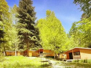 Горная Мята