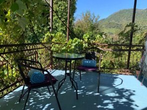 Частный дом Агава