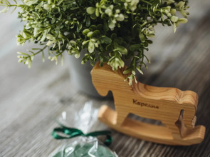 Гостевой дом Green house Kerelia