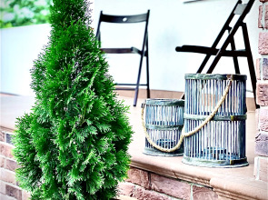 Гостевой Дом Миндаль