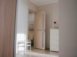 Апартаменты Argentum Home Дудинская 2