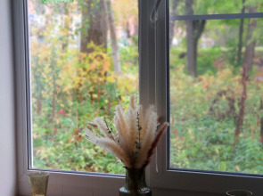 Квартира Red House 15м²