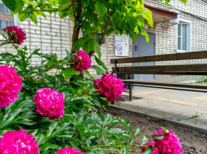 Квартира 2х комнатная Business Apart Lux на Маяковского