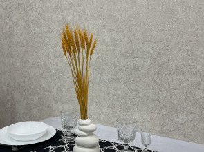 Квартира в центре города Ульяновска