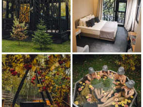 Мини-отель Гуси-Лебеди