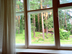 Дом у сосен