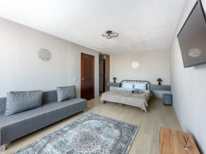 Апартаменты рядом с метро Царицыно