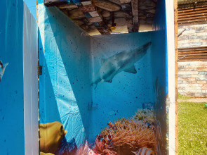 Глэмпинг Алтайский