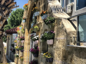 Отель Wonder Life