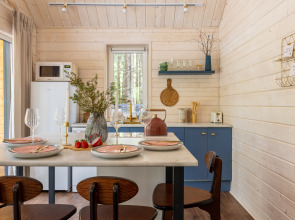 Частный дом в еловом лесу